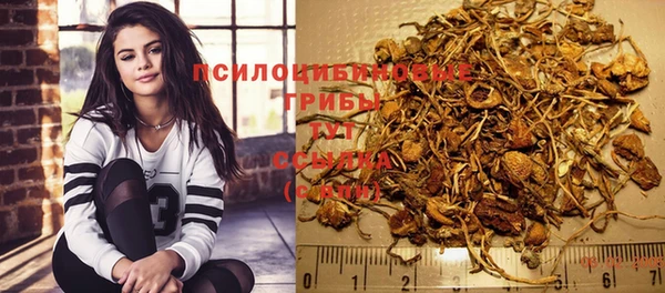 альфа пвп Ахтубинск