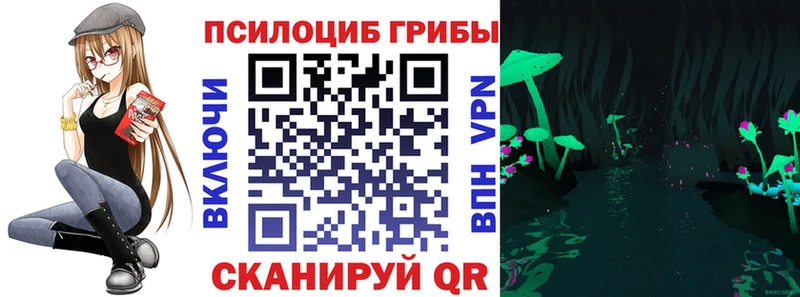 Псилоцибиновые грибы Psilocybe  закладка  кракен ССЫЛКА  Изобильный 
