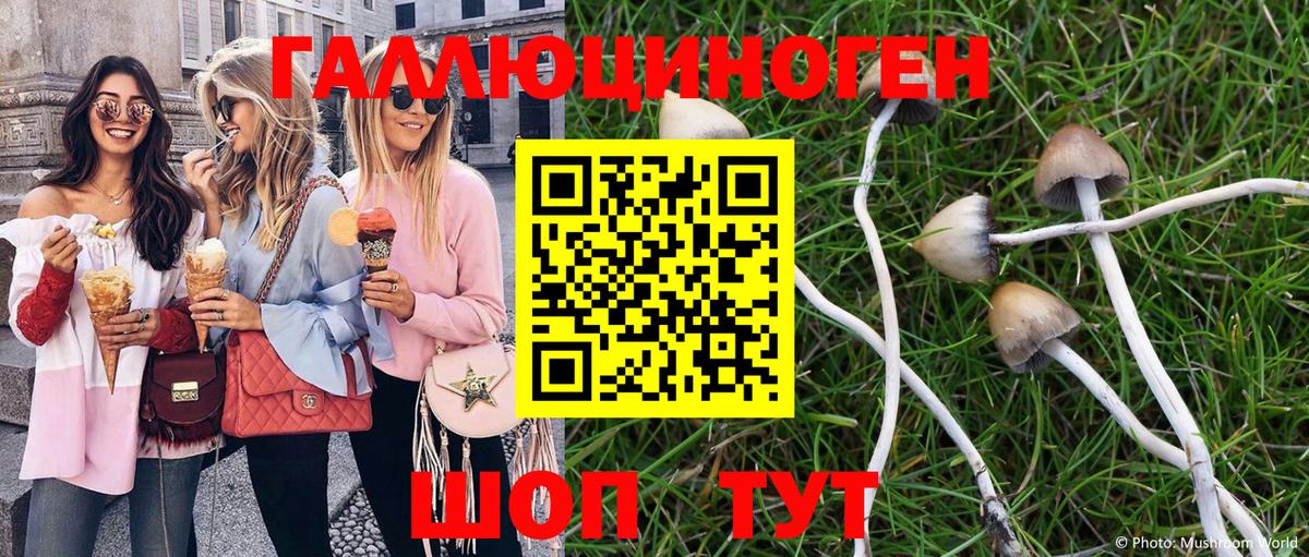 Псилоцибиновые грибы прущие грибы  Изобильный 