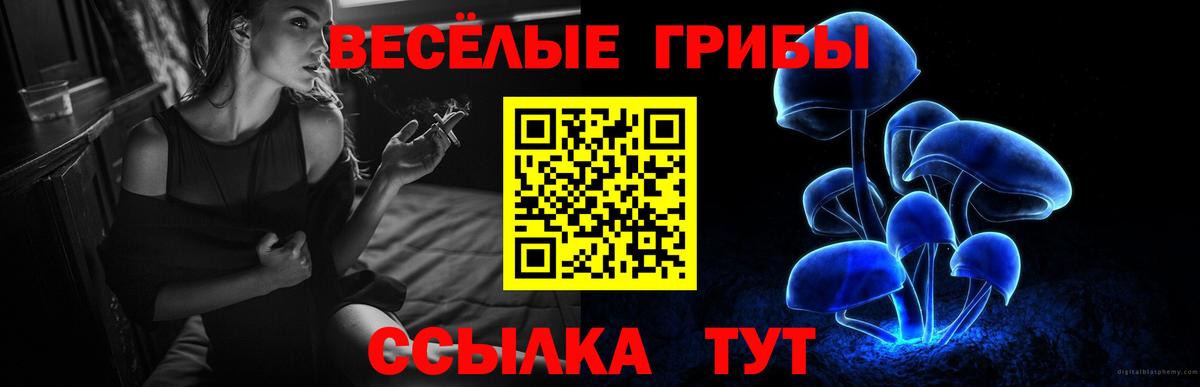 Псилоцибиновые грибы Magic Shrooms Изобильный